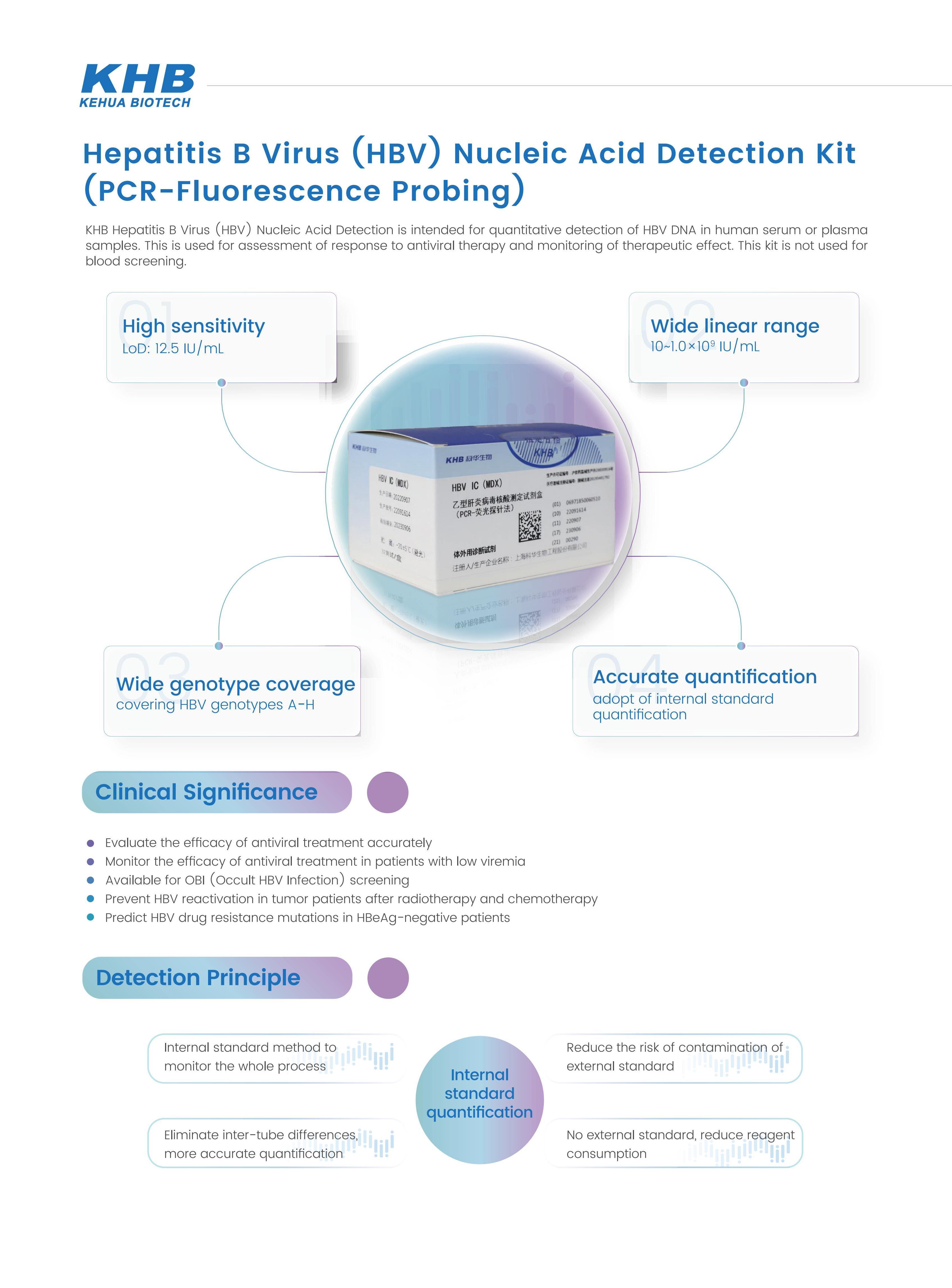 KHB HBV内标法 (2).jpg